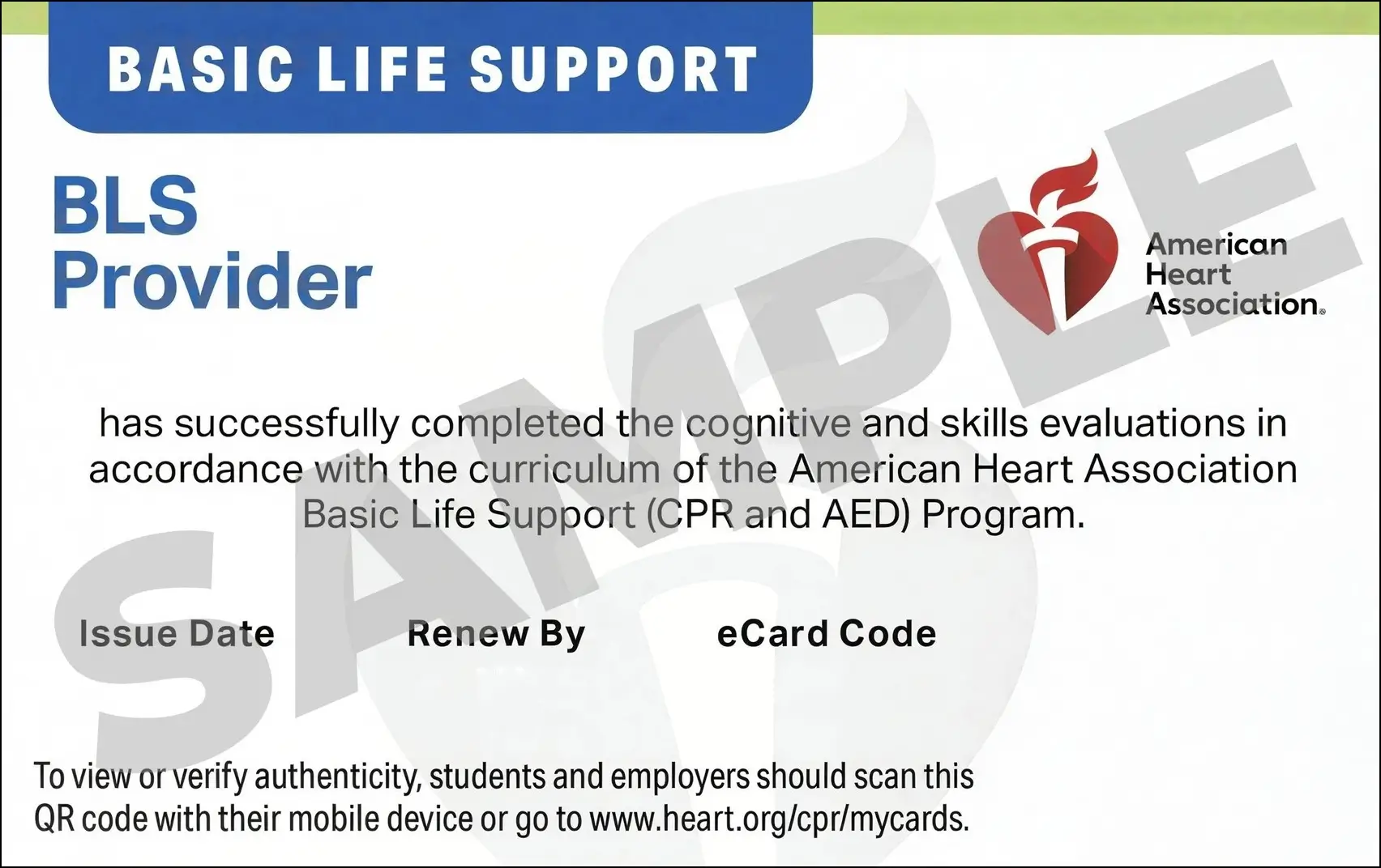 Sample American Heart Association AHA BLS CPR Card Certification from CPR Certification Salt Lake City